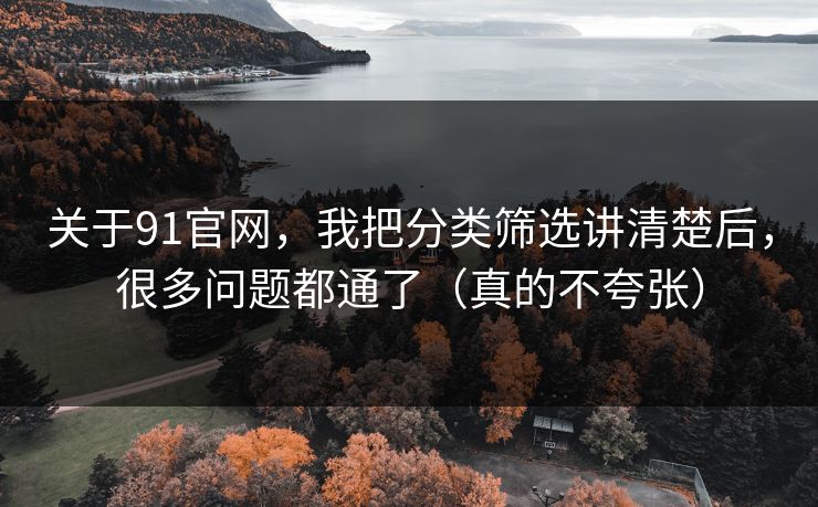 关于91官网，我把分类筛选讲清楚后，很多问题都通了（真的不夸张）