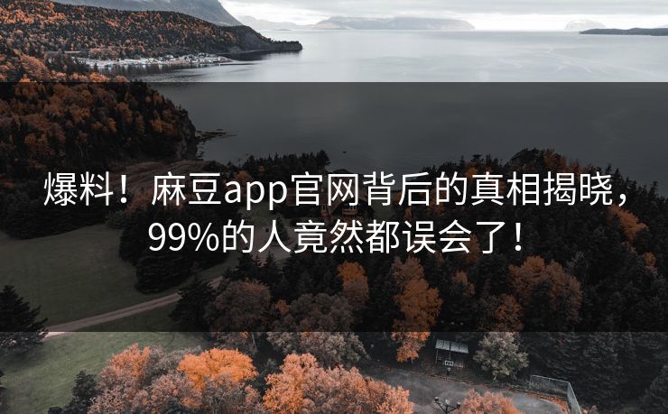 爆料！麻豆app官网背后的真相揭晓，99%的人竟然都误会了！