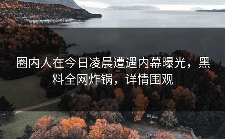 圈内人在今日凌晨遭遇内幕曝光，黑料全网炸锅，详情围观